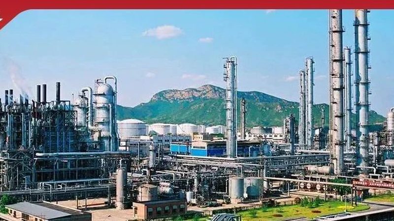 医疗器械中的高分子材料：探索其奥秘与重要性**