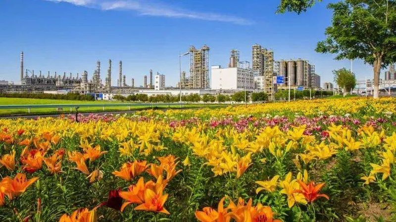 新型防水材料：如何选择优质代理加盟品牌