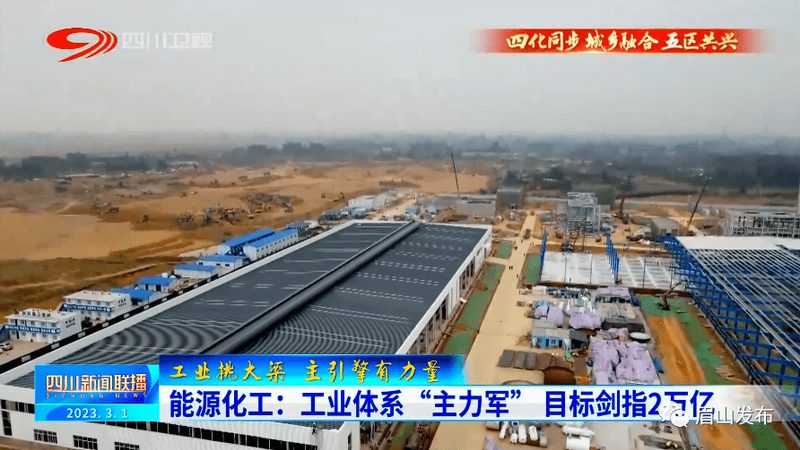 通用塑料原料代理加盟：揭秘行业选择与加盟要点**
